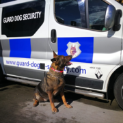 Building Site Guard Dogs Oxted | Guard Dog Security